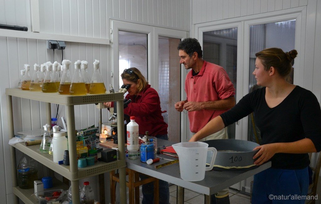 Visite de l'écloserie d'huîtres Thierry Labadie