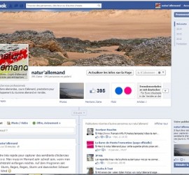 Capture d'écran facebook1