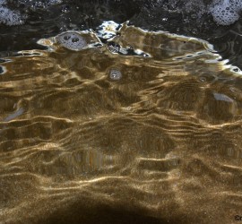 DSC_0437(1)